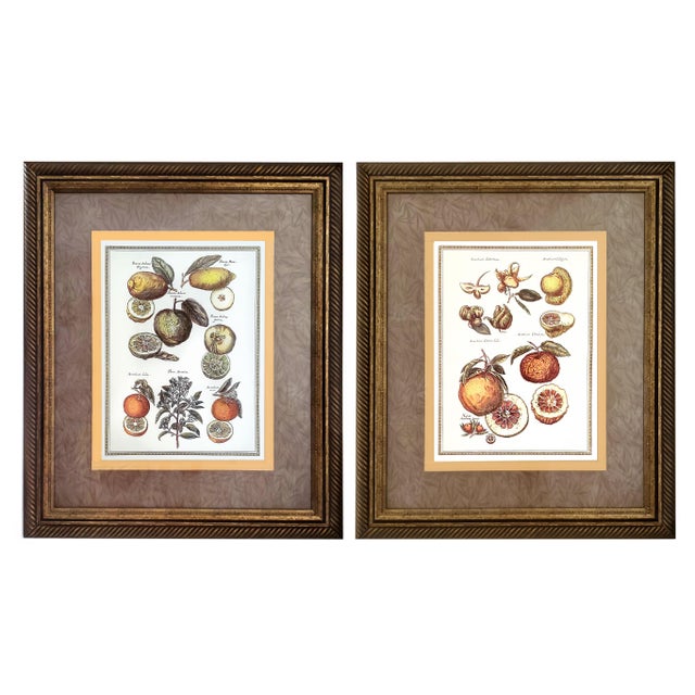 Offering a pair of vintage extra large FRAMED with glass reproduction prints in the manner of Giovanni Baptista Ferrari...