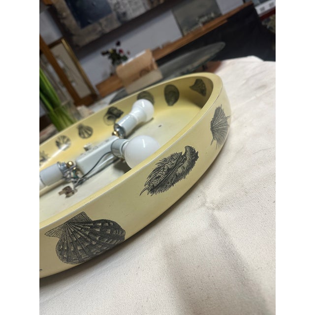 1960s Italian Backlit Wall Mirror With Shell Motif For Sale In Los Angeles - Image 6 of 11