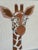 Vintage Needlepoint Zebra & Giraffe Framed Wall Art – Set of Two For Sale - Image 4 of 12