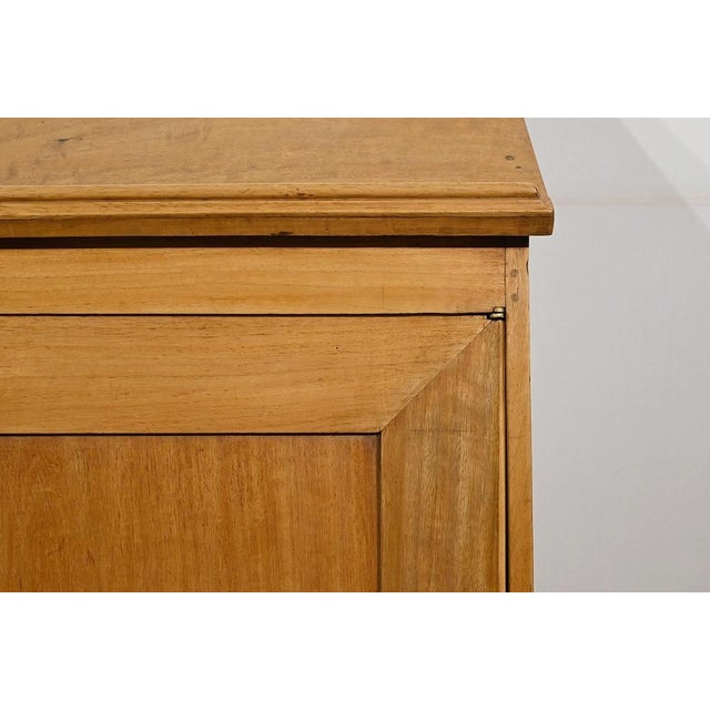 Tan Small Walnut Cabinet, 19th Century For Sale - Image 8 of 17