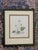Original Botanical Floral "Grass of Parnassus" Painting Framed For Sale - Image 11 of 11