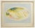 Yellow oval is an original mixed colred lithograph realized by danilo bergamo in the second half of xx century. Hand...