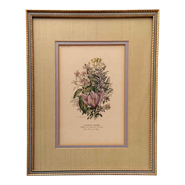 Vintage Botanical Print by Anne Ophelia Dowden For Sale