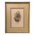 Vintage Botanical Print by Anne Ophelia Dowden For Sale