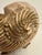 Rosenthal Netter Brass Seashell Nautilus Planter or Cachepot For Sale - Image 12 of 12