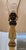 1920s Antique 1930s Asian Chinoiserie Hand Painted Wooden Floor Lamp For Sale - Image 5 of 10