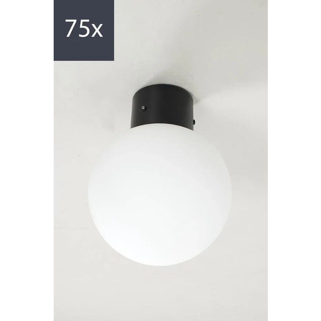 Black Ceiling Light from Glashütte Limburg For Sale - Image 8 of 8
