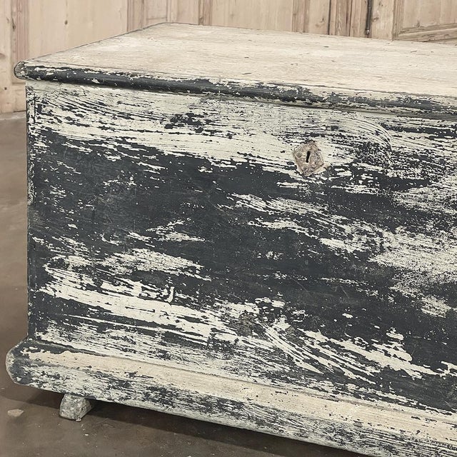 Early 19th Century Rustic Swedish Painted Trunk ~ Blanket Chest ~ Coffee Table For Sale - Image 13 of 18