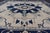 Mid 20th Century Navy Blue Oushak Vintage Rug With Traditional Medallion Design For Sale - Image 5 of 16