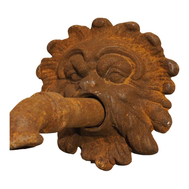French Cast Iron Mascaron Spout With Backplate For Sale