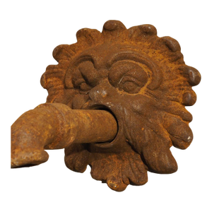 French Cast Iron Mascaron Spout With Backplate