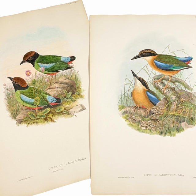 ABOUT THE WORKS This exceptional pair brings together two original nineteenth-century lithographs with original hand...