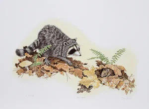 Chris Forrest, "Deer Mouse," Lithograph