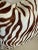 Contemporary Animal Print Zebra Pillow For Sale - Image 3 of 6