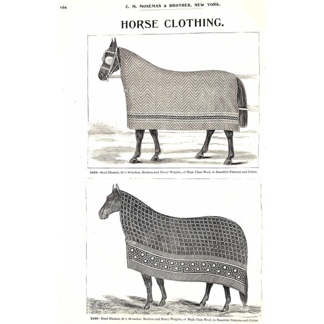 "Mosemans': Illustrated Guide for Purchasers of Horse Furnishing Goods" 1895 Moseman, c.m. For Sale - Image 4 of 18