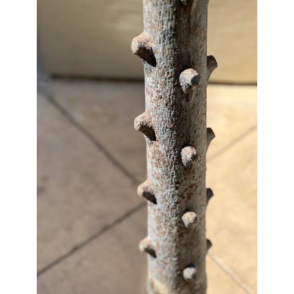 19th Century Iron L’Arbre À Voeux Sculpture For Sale - Image 9 of 10