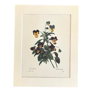 Vintage Pierre-Josephe Redouté Print in 11x14 Mat - "La Pensée", Pansies, EUC For Sale
