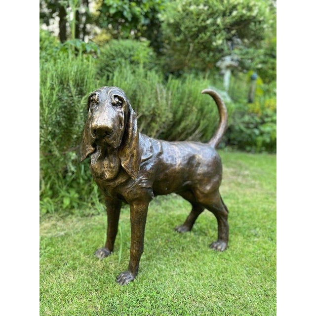Life-Size Bronze Bloodhound Garden Statue from Christian Maas For Sale - Image 4 of 18