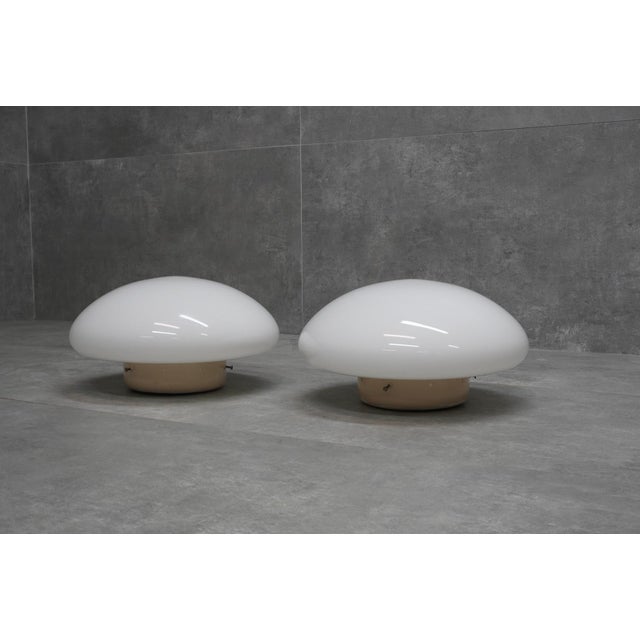Magnolia Lamps by Sergio Mazza for Quattrifolio, Italy, 1971, Set of 2 For Sale - Image 6 of 6