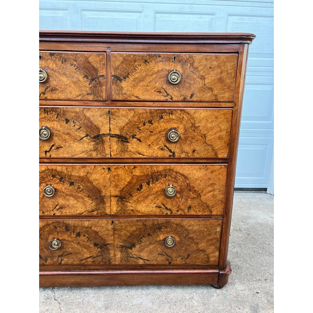 French 19th Century Louis Philippe Burl Walnut Chest of Drawers / Commode For Sale - Image 12 of 12