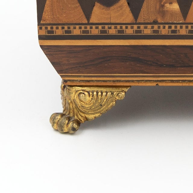 Brown Regency Rosewood Specimen Box on Gilt Lion Paw Feet Circa 1810 For Sale - Image 8 of 16