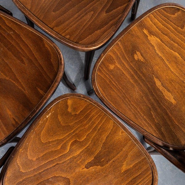 Moustache Back Dining Chair in Dark Oak Bentwood from Ton, 1970s For Sale - Image 6 of 11