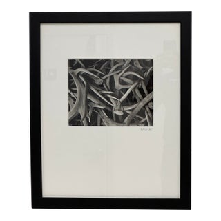 Contemporary Antler Study Photograph, Signed For Sale