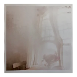 Peter C. Jones 1, Deep Fog, Misty, Moody Large Format Photo 24X20 Color Photograph Beach House, 2004