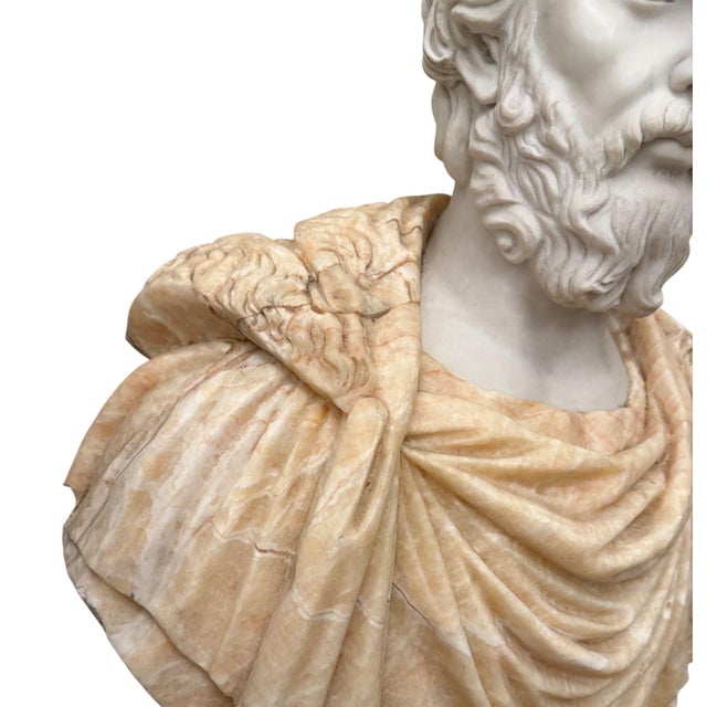 White Bust of Roman Emperor Septimius Severus on Black Marble Base. Italy 20th Century For Sale - Image 8 of 10