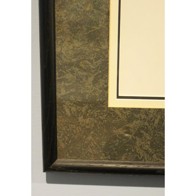 English 1970s English Framed Reproduction of Gould's Kaup's Flycatcher Lithograph For Sale - Image 3 of 9