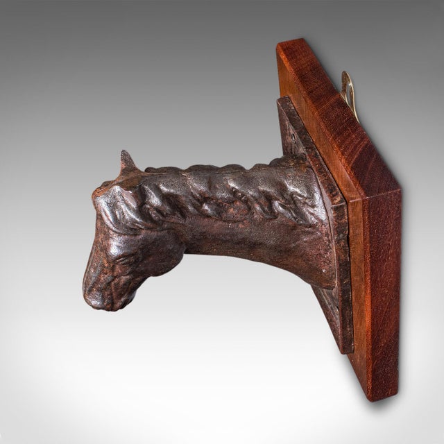 Antique Mounted Horse Bust, English, Iron, Coat Hook, Equestrian Tack, Edwardian For Sale - Image 6 of 10