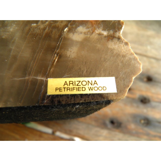 Wood 1970s Amazing Polished Arizona Rainbow Petrified Wood Bookends For Sale - Image 7 of 9