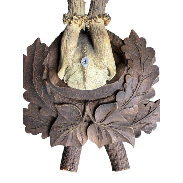 Cabin Roe Deer Trophy 240 Black Forest Antlers Decor For Sale - Image 3 of 5