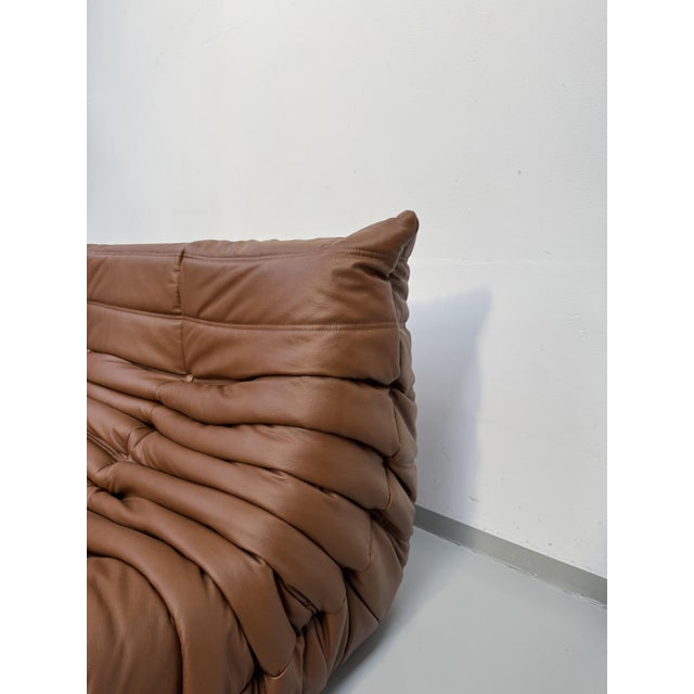 Togo Three-Seater Sofa in Dark Cognac Leather by Michel Ducaroy for Ligne Roset For Sale - Image 6 of 12