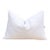 Morning Dew Lumbar Applique Pillow Cover For Sale