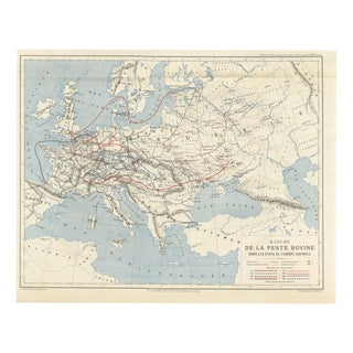 Antique Map of the Cattle Plague in Europe by Reynal, 1873 For Sale