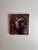 Echoes of Life by Terra Novak | Oil on wood Skull with birds on a wooden background For Sale
