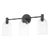 Mitzi Paisley 3-Light Bath Vanity Light, Soft Black For Sale