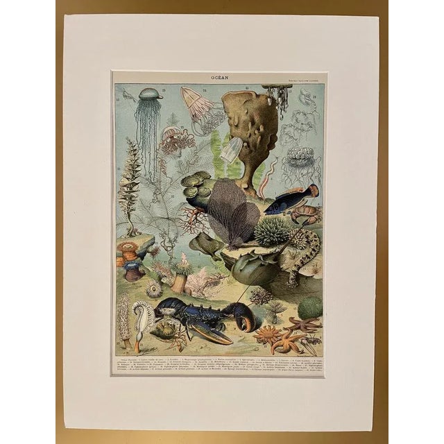 Adolphe Millot, Ocean Surface, 1900, Lithographic Engraving For Sale - Image 4 of 5