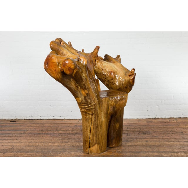 Brown Vintage Camphor Wood Root Chair with Natural Varnish Lacquer For Sale - Image 8 of 12