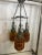 Mid-Century Modern Mid Century Spanish Gothic 3 Pendant Amber Swag Chandelier For Sale - Image 3 of 13