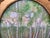 20th Century Woodland Watercolor Art For Sale - Image 4 of 7
