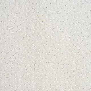 Schumacher Ostrich Vegan Leather Fabric In Ivory For Sale