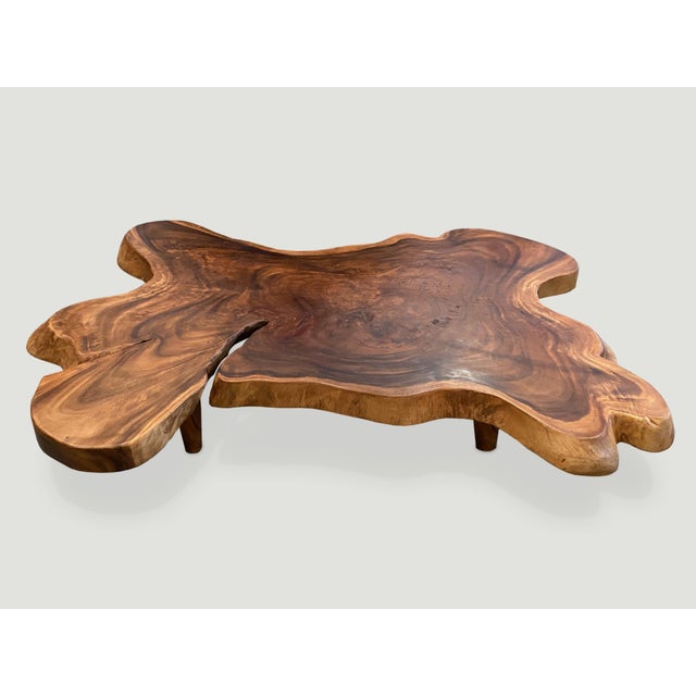 2010s Andrianna Shamaris Amorphous Suar Wood Coffee Table For Sale - Image 5 of 6