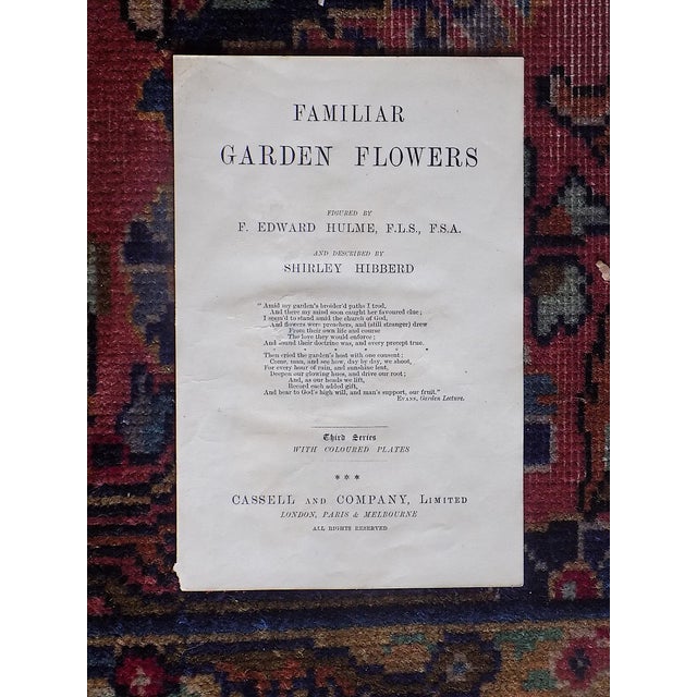 Pink Antique 19th Century Edward Hulme Botanical "Garden Flowers" Lithographs - Set of 12 - Super Price! For Sale - Image 8 of 9