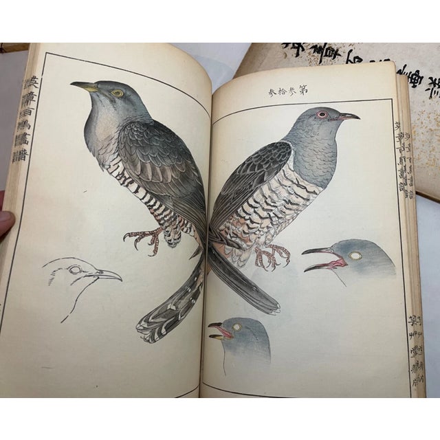 1914 Antique Japanese Eisho Hyakucho Gafu Tsuchida Eisho Birds Woodblock Prints For Sale - Image 4 of 18