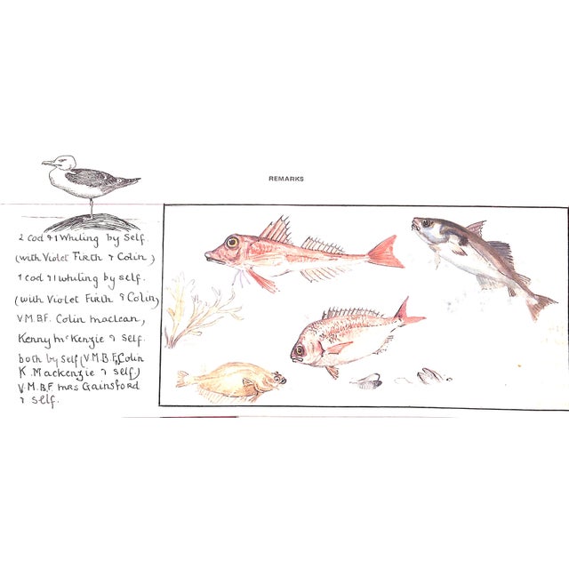 "Muriel Foster's Fishing Diary" 1980 Foster, Muriel For Sale - Image 13 of 16