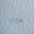 Original Signed Sarah Voyer “Pineapple” Print For Sale - Image 9 of 14