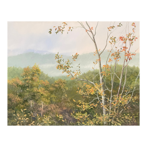 1994 Jim Palmer Blue Ridge Mountain Painting