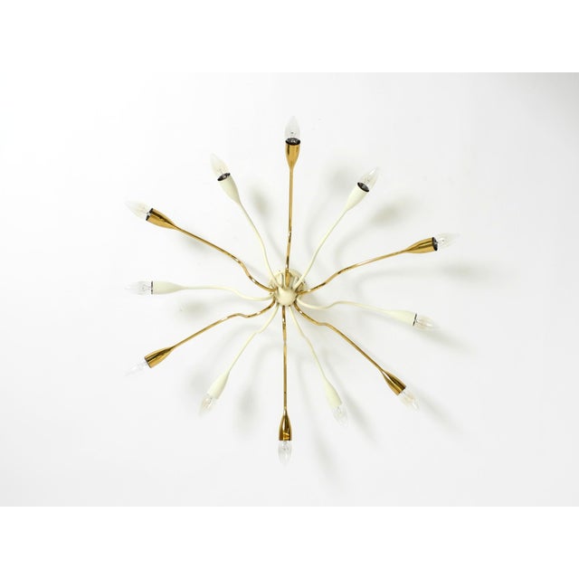Metal Large Mid-Century Modern Brass Sputnik Ceiling Lamp with 12 Arms, 1950s For Sale - Image 7 of 18